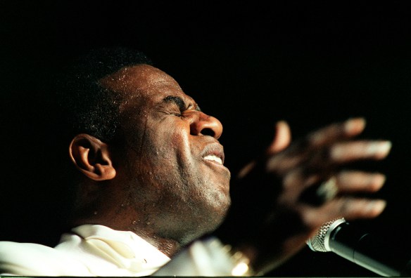 Archive PHOTO BY SIMON PENDRIGH pdi photo & film 07770644461 simon.pendrigh@btinternet.com simonpendrigh.com