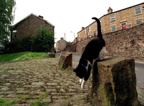 Archive PHOTO BY SIMON PENDRIGH pdi photo & film 07770644461 simon.pendrigh@btinternet.com simonpendrigh.com