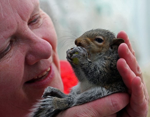 Archive PHOTO BY SIMON PENDRIGH pdi photo & film 07770644461 simon.pendrigh@btinternet.com simonpendrigh.com