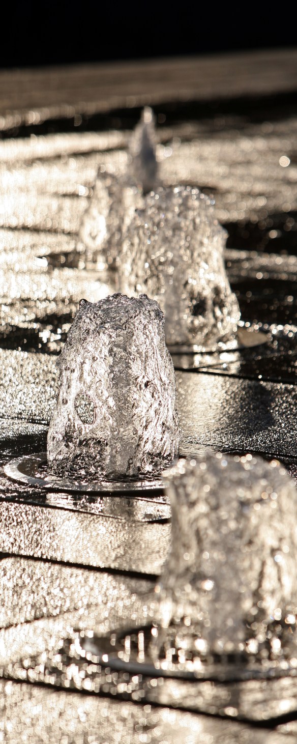 Archive PHOTO BY SIMON PENDRIGH pdi photo & film 07770644461 simon.pendrigh@btinternet.com simonpendrigh.com