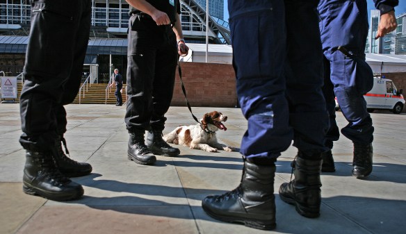 Archive PHOTO BY SIMON PENDRIGH pdi photo & film 07770644461 simon.pendrigh@btinternet.com simonpendrigh.com