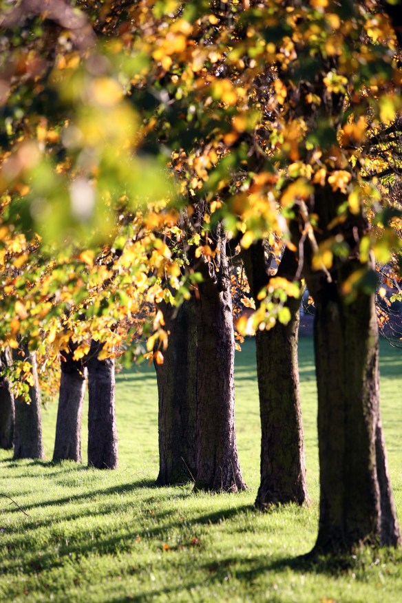 Archive PHOTO BY SIMON PENDRIGH pdi photo & film 07770644461 simon.pendrigh@btinternet.com simonpendrigh.com