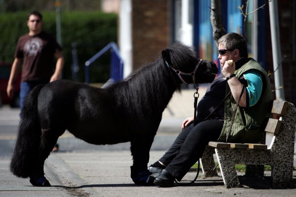 Archive PHOTO BY SIMON PENDRIGH pdi photo & film 07770644461 simon.pendrigh@btinternet.com simonpendrigh.com