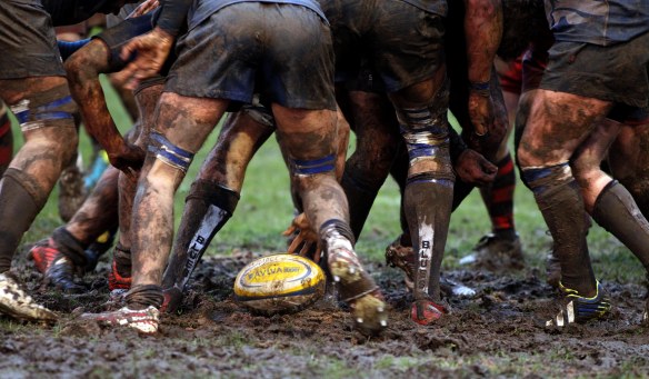 Archive PHOTO BY SIMON PENDRIGH pdi photo & film 07770644461 simon.pendrigh@btinternet.com simonpendrigh.com