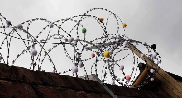 Archive PHOTO BY SIMON PENDRIGH pdi photo & film 07770644461 simon.pendrigh@btinternet.com simonpendrigh.com