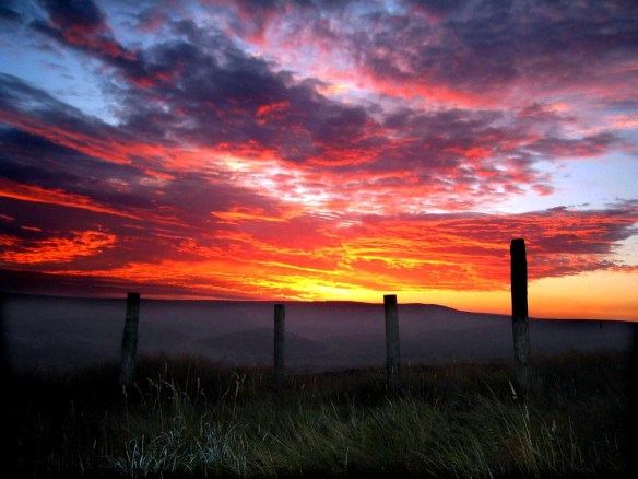 ARCHIVE PHOTOGRAPH PHOTO BY SIMON PENDRIGH pdi photo & film 07770644461 simon.pendrigh@btinternet.com simonpendrigh.com