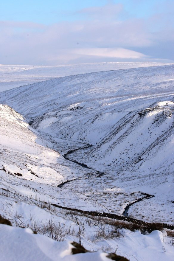 ARCHIVE PHOTOGRAPH PHOTO BY SIMON PENDRIGH pdi photo & film 07770644461 simon.pendrigh@btinternet.com simonpendrigh.com