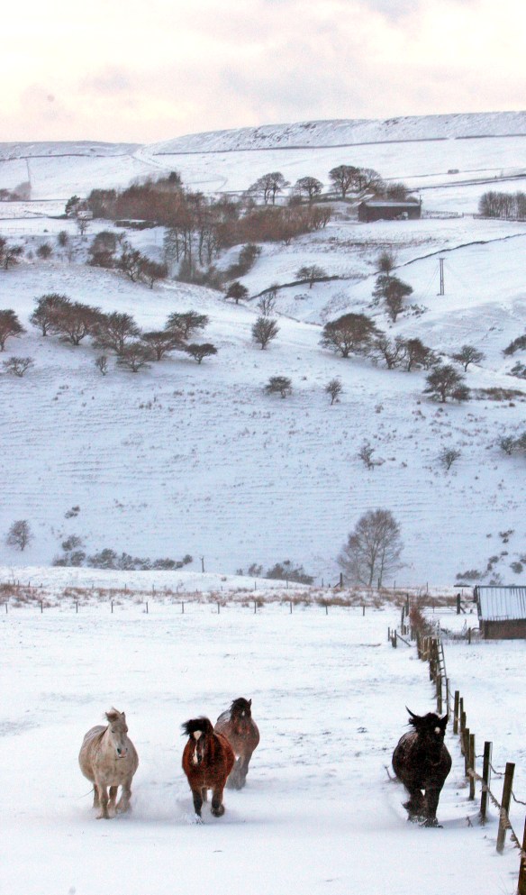 ARCHIVE PHOTOGRAPH PHOTO BY SIMON PENDRIGH pdi photo & film 07770644461 simon.pendrigh@btinternet.com simonpendrigh.com