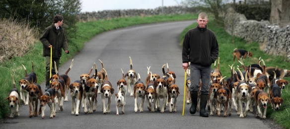 ARCHIVE PHOTOGRAPH PHOTO BY SIMON PENDRIGH pdi photo & film 07770644461 simon.pendrigh@btinternet.com simonpendrigh.com