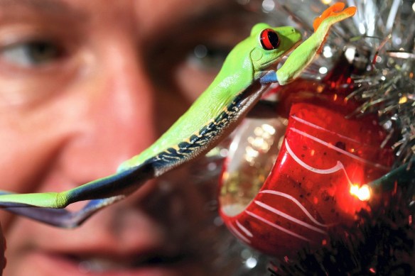 ARCHIVE PHOTOGRAPH PHOTO BY SIMON PENDRIGH pdi photo & film 07770644461 simon.pendrigh@btinternet.com simonpendrigh.com