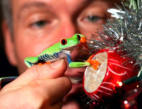 ARCHIVE PHOTOGRAPH PHOTO BY SIMON PENDRIGH pdi photo & film 07770644461 simon.pendrigh@btinternet.com simonpendrigh.com