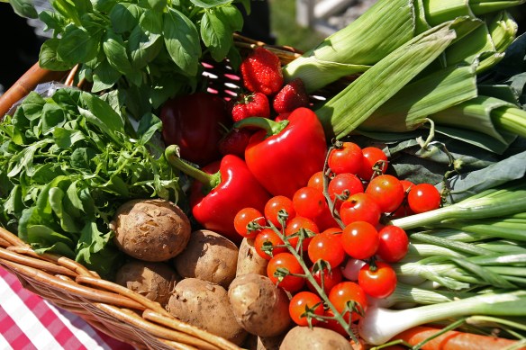 ARCHIVE PHOTOGRAPH PHOTO BY SIMON PENDRIGH pdi photo & film 07770644461 simon.pendrigh@btinternet.com simonpendrigh.com