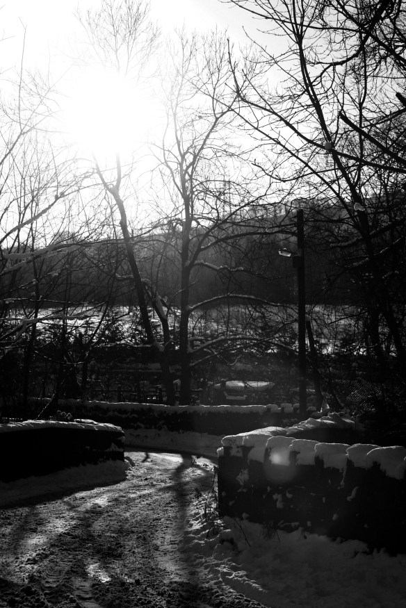 ARCHIVE PHOTOGRAPH PHOTO BY SIMON PENDRIGH pdi photo & film 07770644461 simon.pendrigh@btinternet.com simonpendrigh.com