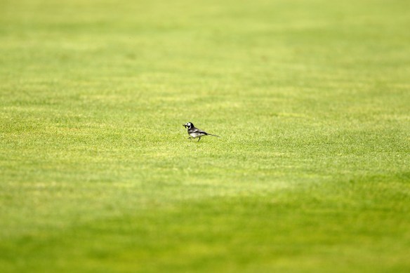 ARCHIVE PHOTOGRAPH PHOTO BY SIMON PENDRIGH pdi photo & film 07770644461 simon.pendrigh@btinternet.com simonpendrigh.com