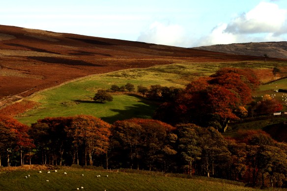 SHP_ARCHIVE_PDIphoto&film_174