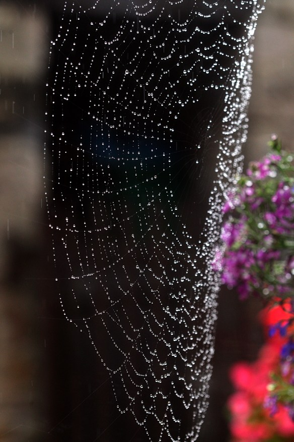 SHP_ARCHIVE_PDIphoto&film_179